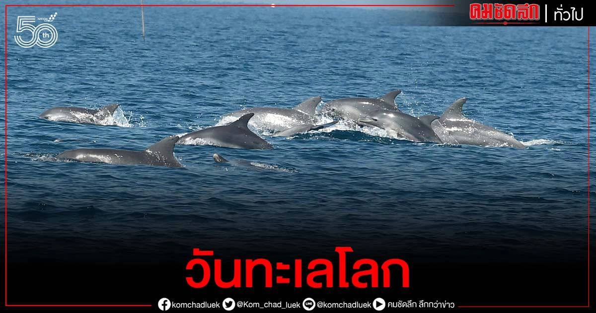 วันทะเลโลก"วราวุธ" ย้ำ "ด้วยมือคนไทย ทำทะเลไทยสมบูรณ์"ร่วมอนุรักษ์ทะเลคู่วิถีชีวิต