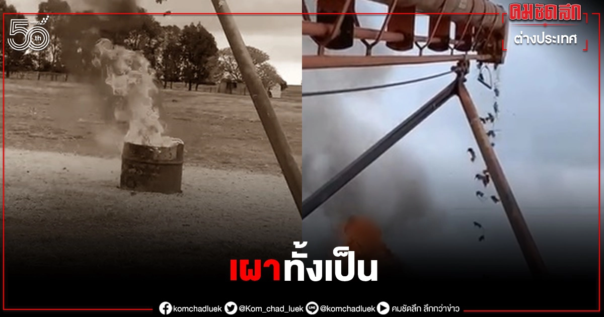 ไล่ลงถังน้ำมันเผาทั้งเป็น อีกวิธีเกษตรกรออสซี่งัดปราบหนู แต่ถูกวิจารณ์ไร้มนุษยธรรม ไล่ลงถังน้ำมันเผาทั้งเป็น อีกวิธีเกษตรกรออสซี่งัดปราบหนู แต่ถูกวิจารณ์ไร้มนุษยธรรม
