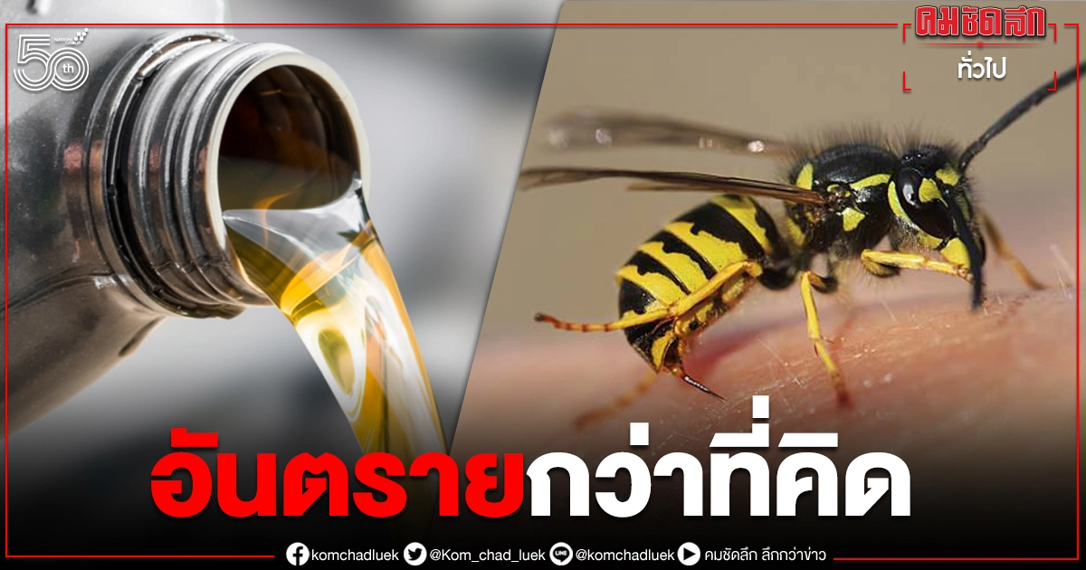 แชร์ว่อน ถอนพิษแมลงด้วยน้ำมันเบนซิน กูรูเตือนอย่าหาทำอันตรายกว่าที่คิด แชร์ว่อน ถอนพิษแมลงด้วยน้ำมันเบนซิน กูรูเตือนอย่าหาทำอันตรายกว่าที่คิด