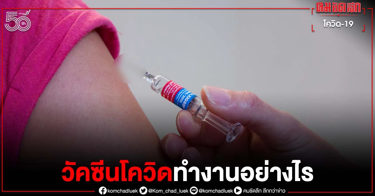ไขคำตอบ "วัคซีนโควิด" ทำงานอย่างไรเมื่อเข้าสู่ร่างกายไปแล้ว 