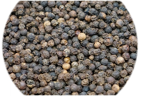 เปิดตำรับไทยแก้โรคหน้าฝน พลิกสูตร "ตรีกฏุก" ปรับสมดุลสุขภาพ