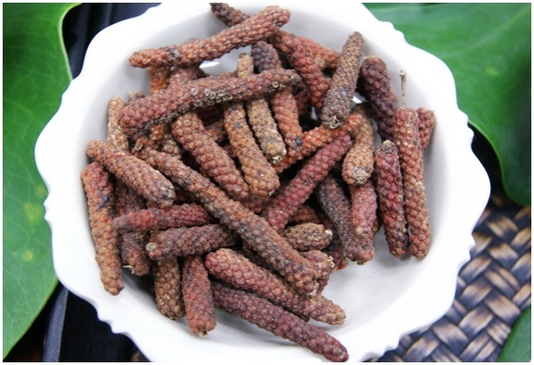 เปิดตำรับไทยแก้โรคหน้าฝน พลิกสูตร "ตรีกฏุก" ปรับสมดุลสุขภาพ