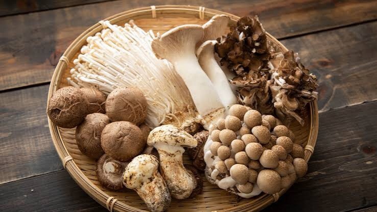 หมดปัญหากลุ้มใจ เลือกกินอาหาร 7 ชนิด บอกลา "ผมหงอก"