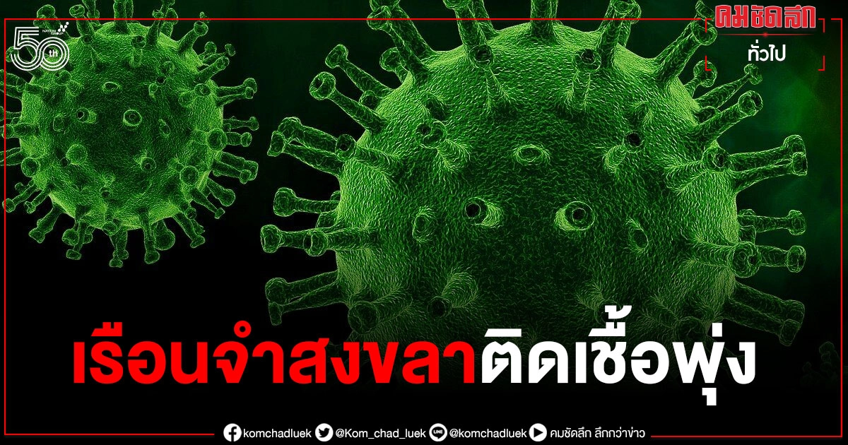 "เรือนจำสงขลา" ติดเชื้อโควิดพุ่ง 192 คน พร้อมมีคำสั่งปิดโรงงานถุงมือ "เรือนจำสงขลา" ติดเชื้อโควิดพุ่ง 192 คน พร้อมมีคำสั่งปิดโรงงานถุงมือ