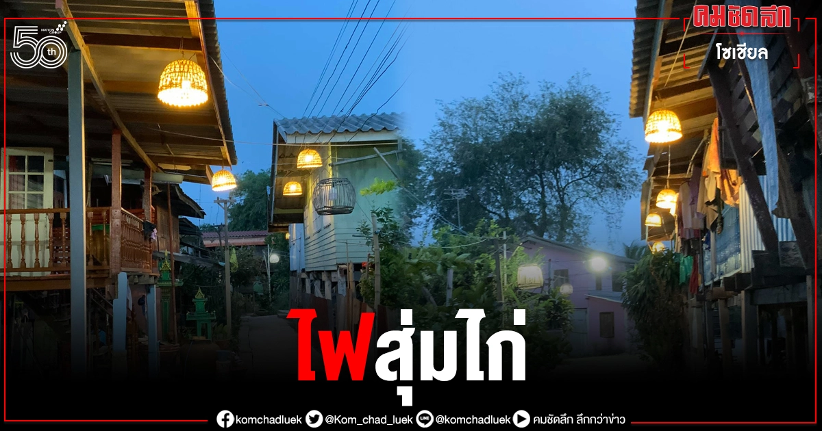 อิจฉาอยากมีบ้าง ทำ"ไฟสุ่มไก่" งบแค่หลักร้อย แถมสร้างรายได้ให้ชุมชน ชาวเน็ตแห่ชม อิจฉาอยากมีบ้าง ทำ"ไฟสุ่มไก่" งบแค่หลักร้อย แถมสร้างรายได้ให้ชุมชน ชาวเน็ตแห่ชม