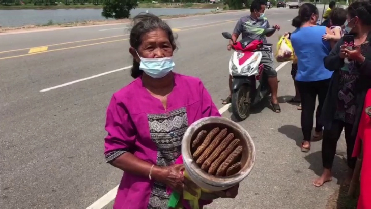 แปลกประหลาด "ผึ้งทำรังในครก" ชาวตลาดบัวใหญ่  แห่ส่องเลขเด็ดลุ้นโชค 
