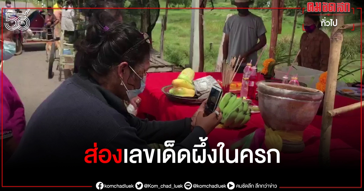 แปลกประหลาด "ผึ้งทำรังในครก" ชาวตลาดบัวใหญ่ แห่ส่องเลขเด็ดลุ้นโชค แปลกประหลาด "ผึ้งทำรังในครก" ชาวตลาดบัวใหญ่ แห่ส่องเลขเด็ดลุ้นโชค