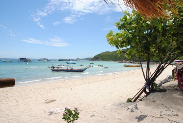 รู้จักชายหาดบน "เกาะล้าน" เปิดเกาะแล้ว 14 มิถุนายน นี้