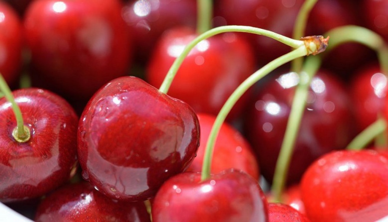 เปิด5 เมนู"ก่อนนอน"สุดฟิน หลับสบายตลอดคืน