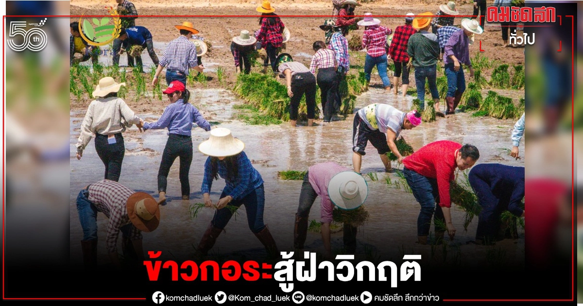 "ข้าวกอระ" ฮึดสู้ฝ่าวิกฤติเดินหน้าสร้างความเชื่อมั่นพร้อมลุยเจาะตลาดใหม่ "ธุรกิจข้าว"แปรรูปเสริมแกร่งธุรกิจ "ข้าวกอระ" ฮึดสู้ฝ่าวิกฤติเดินหน้าสร้างความเชื่อมั่นพร้อมลุยเจาะตลาดใหม่ "ธุรกิจข้าว"แปรรูปเสริมแกร่งธุรกิจ
