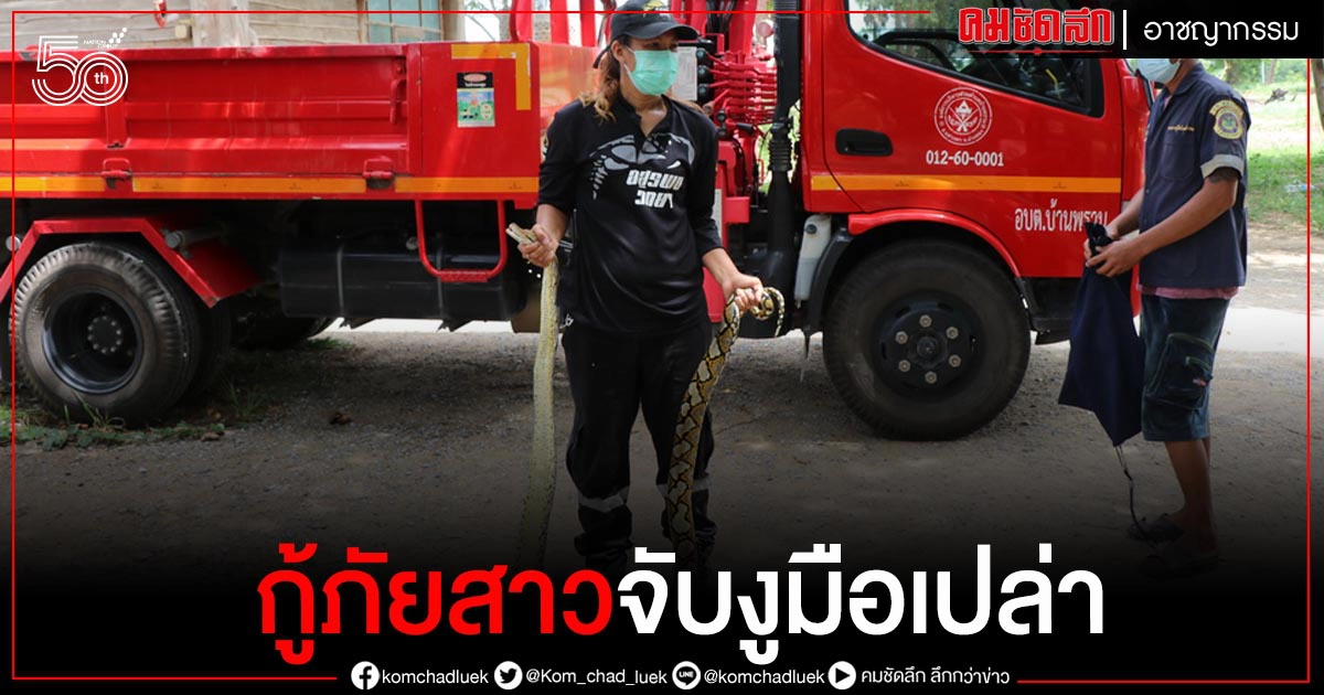 ลุ้นระทึกกู้ภัยสาวขึ้นรถกระเช้า อบต. จับงูเหลือมยาวกว่า 3 เมตร ลุ้นระทึกกู้ภัยสาวขึ้นรถกระเช้า อบต. จับงูเหลือมยาวกว่า 3 เมตร