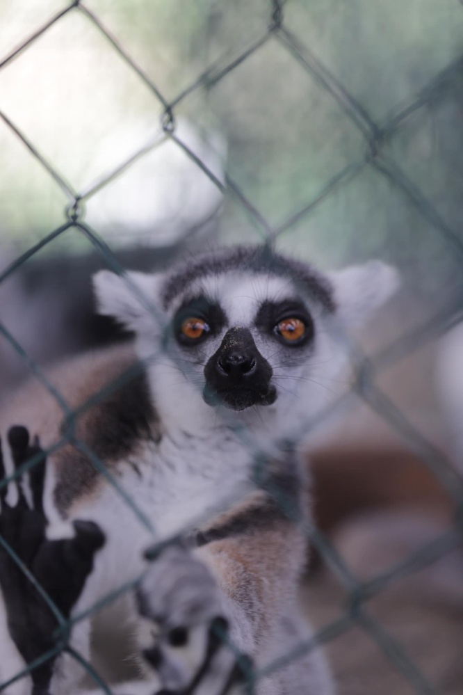 "สวนสัตว์สุโขทัย" ความสุขเล็ก ๆ ของคนสุโขทัย 