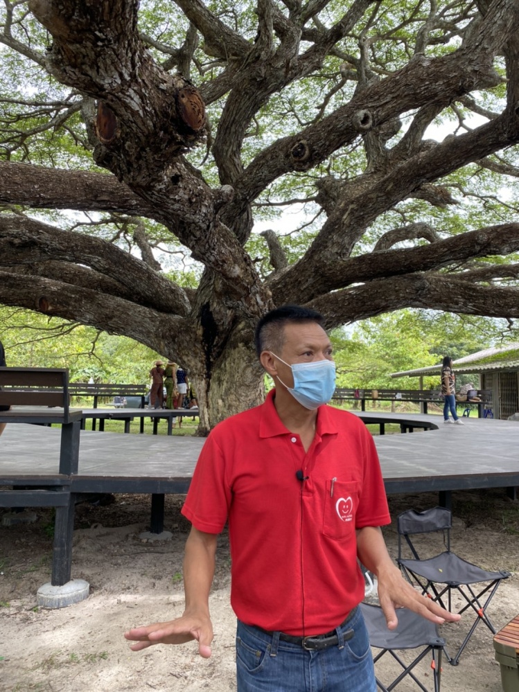 เปิดแลนด์มาร์คให้เช็คอิน ใต้"ต้นก้ามปูยักษ์"บ้านค่าย