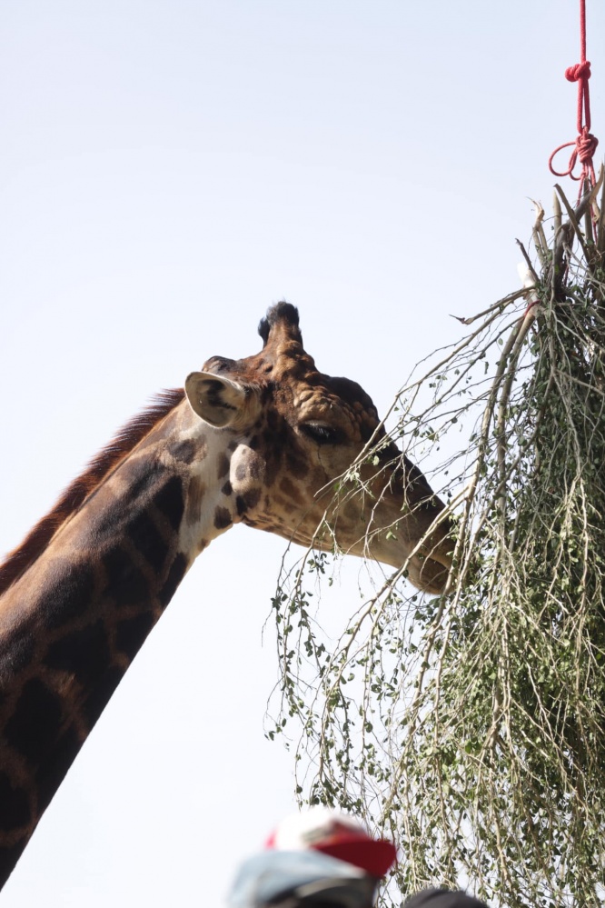 "สวนสัตว์สุโขทัย" ความสุขเล็ก ๆ ของคนสุโขทัย 