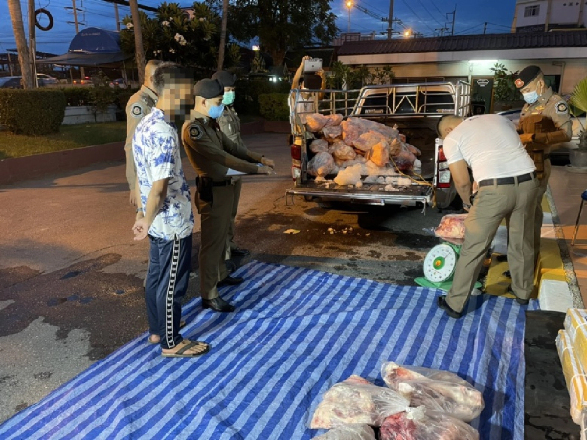 จับ"เนื้อวัว1ตัน" ลักลอบขนจากเขตโรคระบาด โดยไม่ได้รับอนุญาต