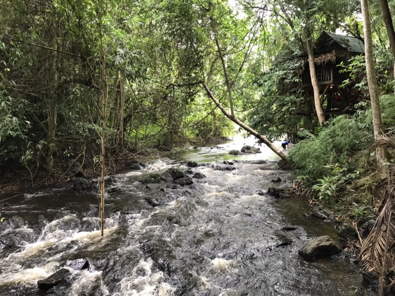 เช็ค อิน กิน เที่ยว ชวนเที่ยว"บ้านต้นไม้"ร้อยหวันนอนฟังสายน้ำสัมผัสธรรมชาติ