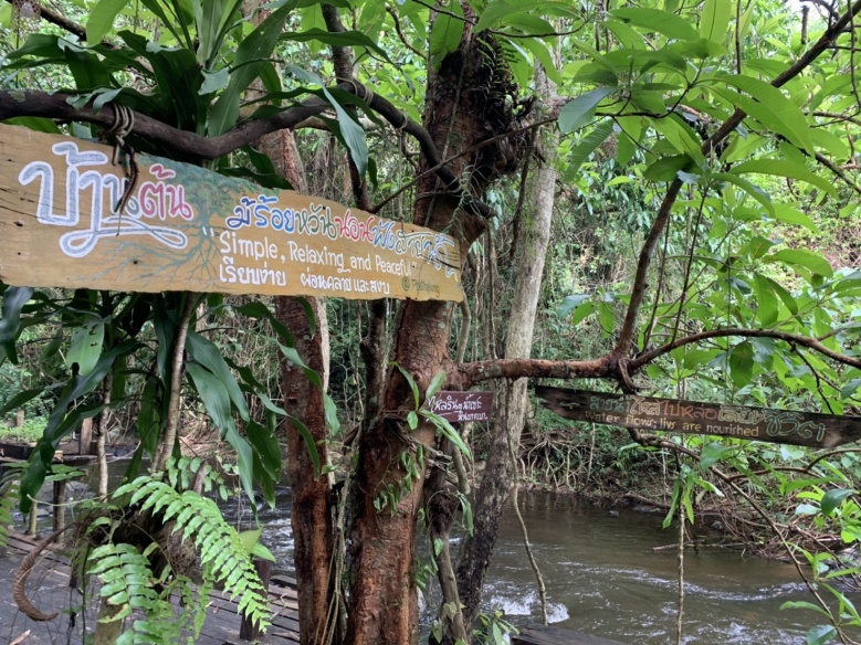 เช็ค อิน กิน เที่ยว ชวนเที่ยว"บ้านต้นไม้"ร้อยหวันนอนฟังสายน้ำสัมผัสธรรมชาติ