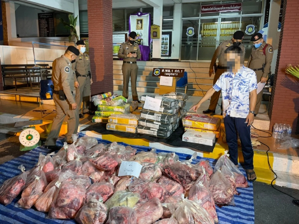 จับ"เนื้อวัว1ตัน" ลักลอบขนจากเขตโรคระบาด โดยไม่ได้รับอนุญาต