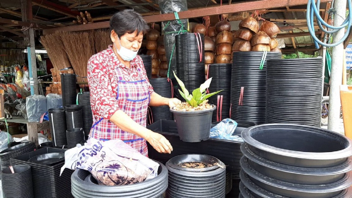 "คุณป้า" สายกรีน 20 ปี กับร้านขายต้นไม้ และอุปกรณ์แต่งสวน 