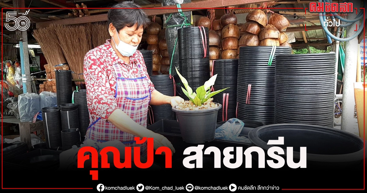 "คุณป้า" สายกรีน 20 ปี กับร้านขายต้นไม้ และอุปกรณ์แต่งสวน 