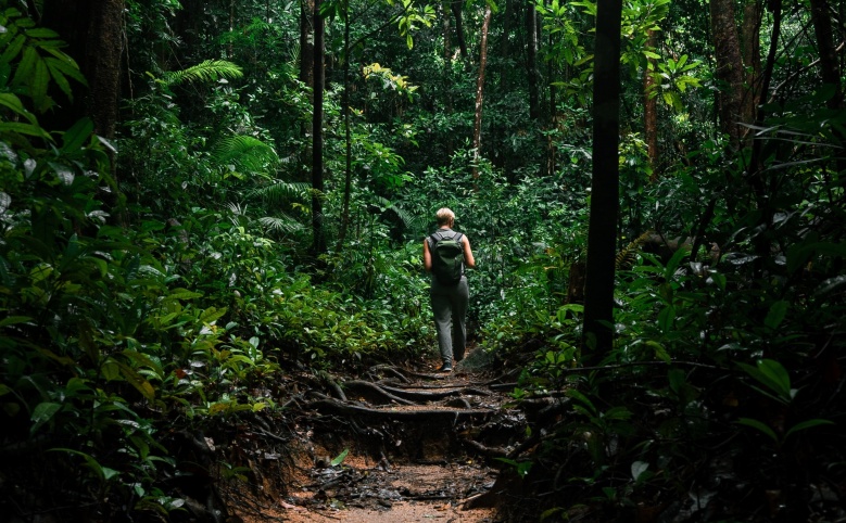 ภาพ andreas-dress