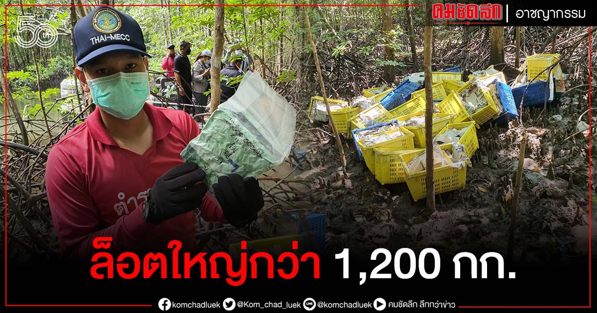 ด่วน...พบ"เฮโรอีน"ปริศนาน้ำหนักกว่า 1.200 กิโลกรัมถูกคลื่นซัดเกลื่อนป่าโกงกาง ด่วน...พบ"เฮโรอีน"ปริศนาน้ำหนักกว่า 1.200 กิโลกรัมถูกคลื่นซัดเกลื่อนป่าโกงกาง