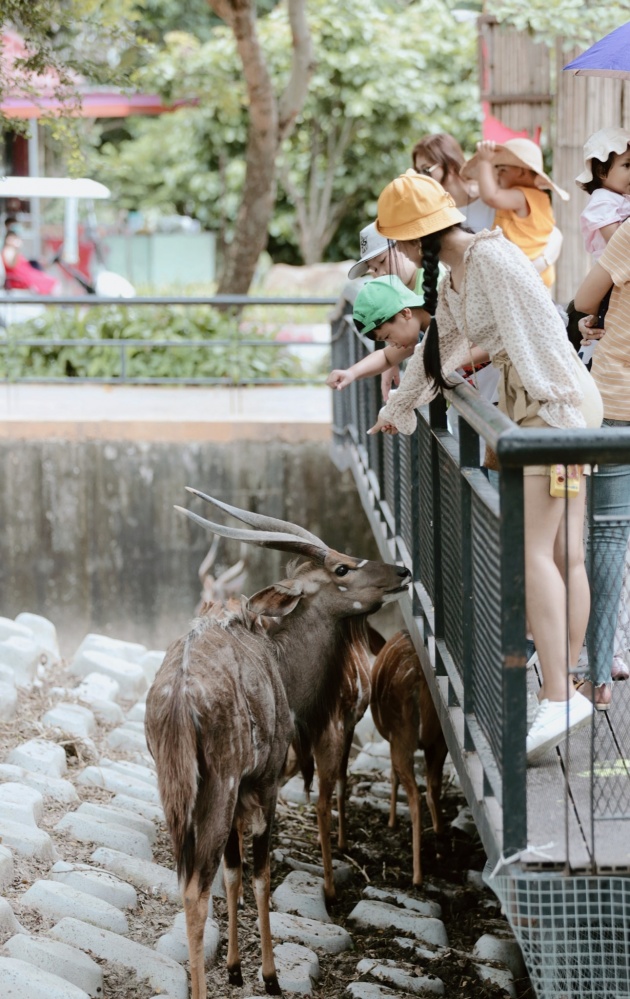 ย้อนวันวาน กับ "สวนสัตว์เปิดเขาเขียว" ผู้สร้างรอยยิ้มให้กับครอบครัว 