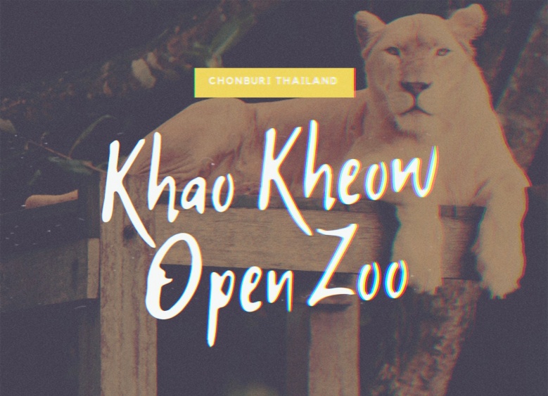 ย้อนวันวาน กับ "สวนสัตว์เปิดเขาเขียว" ผู้สร้างรอยยิ้มให้กับครอบครัว 