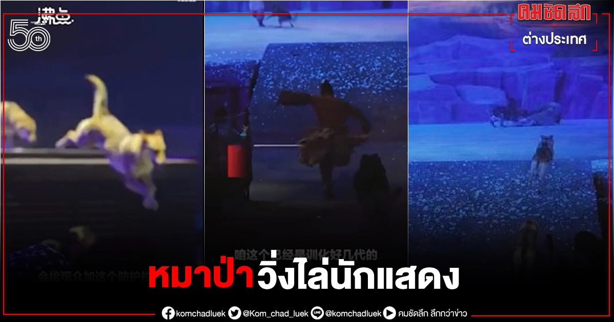 โซเชียลจีนช็อกฉากบู๊โชว์แสงสีเสียง "หมาป่าเป็นสิบวิ่งไล่นักแสดง" กระโจนลงใกล้คนดู(คลิป) โซเชียลจีนช็อกฉากบู๊โชว์แสงสีเสียง "หมาป่าเป็นสิบวิ่งไล่นักแสดง" กระโจนลงใกล้คนดู(คลิป)