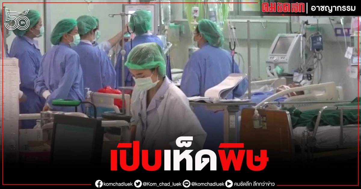 เปิบ "เห็ดพิษ" พิสดาร หาม 8 ชาวบ้าน อาการร่อแร่ เปิบ "เห็ดพิษ" พิสดาร หาม 8 ชาวบ้าน อาการร่อแร่