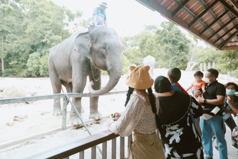 ย้อนวันวาน กับ "สวนสัตว์เปิดเขาเขียว" ผู้สร้างรอยยิ้มให้กับครอบครัว 