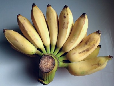  รู้หรือไม่ "กล้วยน้ำว้า" รักษาสารพัดโรค ไม่ว่าจะกินสุก - ดิบ ให้ประโยชน์ต่างกัน