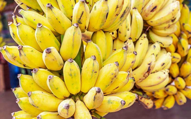  รู้หรือไม่ "กล้วยน้ำว้า" รักษาสารพัดโรค ไม่ว่าจะกินสุก - ดิบ ให้ประโยชน์ต่างกัน