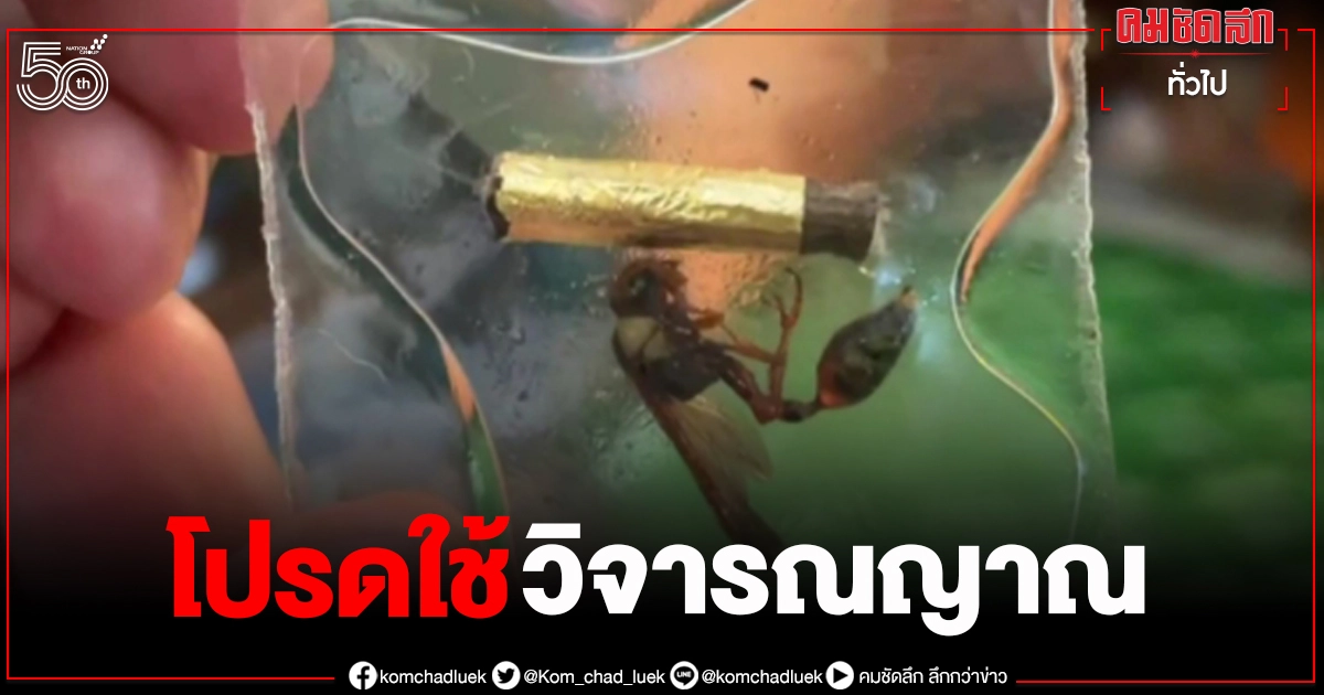 จากปากลูกศิษย์ปมหลวงพ่อ "เสกใบมะขามเป็นตัวต่อ" บอกทำได้จริง เผยที่มาคาถา จากปากลูกศิษย์ปมหลวงพ่อ "เสกใบมะขามเป็นตัวต่อ" บอกทำได้จริง เผยที่มาคาถา