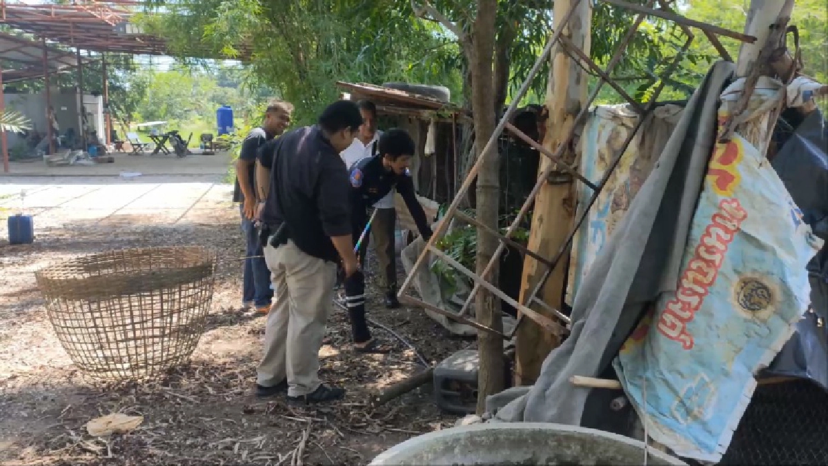 เจอแล้วหัวขโมย เขมือบไก่ไปเกือบ100 ตัว คอหวยพลาดไม่ได้ส่องเลขที่บ้าน (มีคลิป)