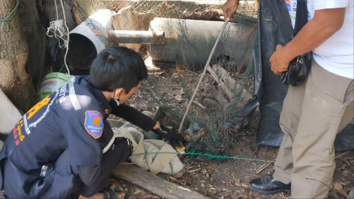 เจอแล้วหัวขโมย เขมือบไก่ไปเกือบ100 ตัว คอหวยพลาดไม่ได้ส่องเลขที่บ้าน (มีคลิป)