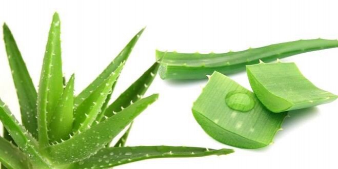 หมดปัญหารังแค แก้ด้วย 6 วิธี แบบธรรมชาติ