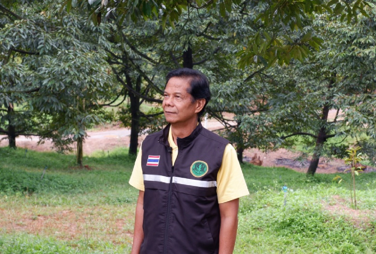 "สสก.3 จ.ระยอง" เดินหน้าพัฒนาองค์ความรู้ การดูแล"แปลงผลไม้"ช่วงสภาพอากาศเปลี่ยนแปลง
