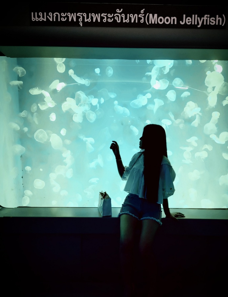 สัมผัสบรรยกาศใต้ท้องทะเลกับ "พิพิธภัณฑ์สัตว์น้ำบางแสน"