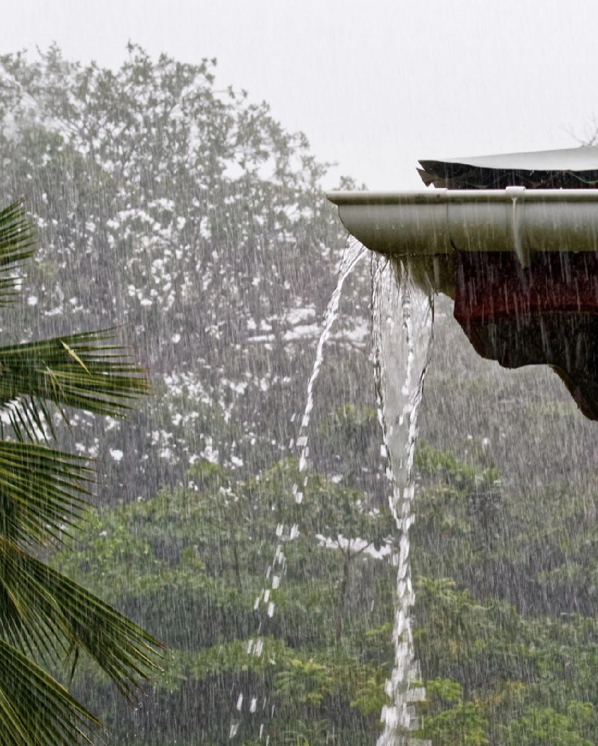 10 ปัญหาควรลด ละ เลิก ก่อนผิดใจกับเพื่อนบ้าน