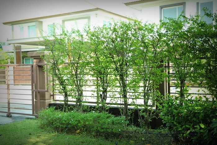 10 ปัญหาควรลด ละ เลิก ก่อนผิดใจกับเพื่อนบ้าน