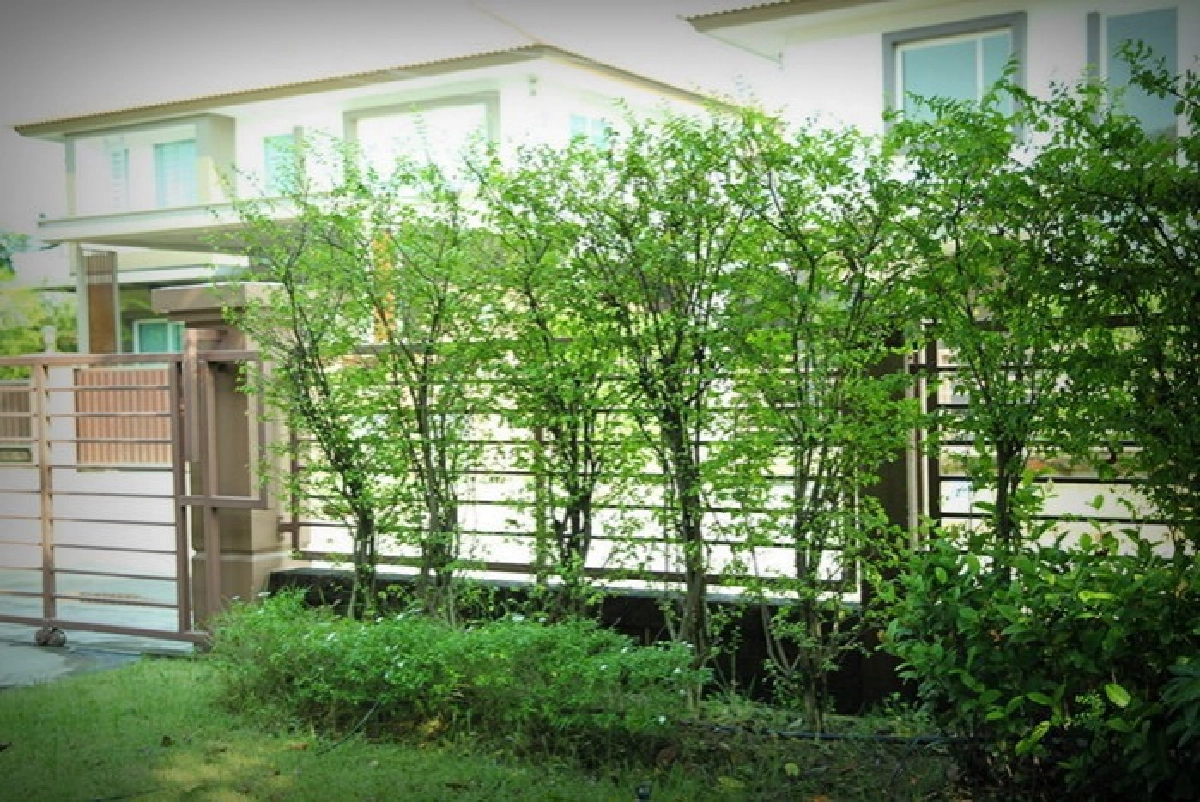 10 ปัญหาควรลด ละ เลิก ก่อนผิดใจกับเพื่อนบ้าน