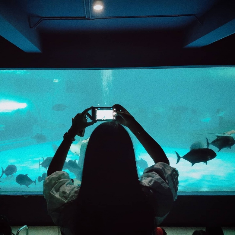 สัมผัสบรรยกาศใต้ท้องทะเลกับ "พิพิธภัณฑ์สัตว์น้ำบางแสน"