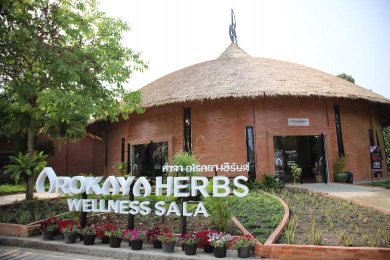 สายเขียวเตรียมตัวให้พร้อม 1 ก.ค. นี้ บุกดินแดนกัญชา เพลาเพลิน บุรีรัมย์ 