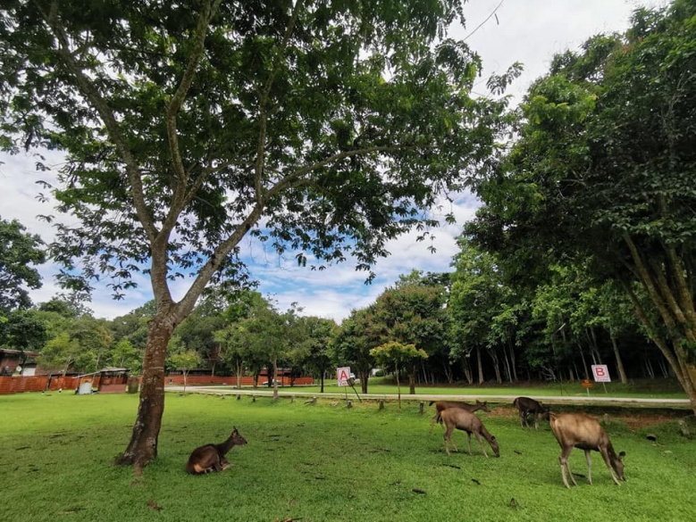 วันหยุดนี้เที่ยวไหนดี ..แนะ5 ที่เที่ยวใกล้กรุงเทพฯ สุดชิลล์ ไม่ต้องวางแผนก็ไปเที่ยวได้