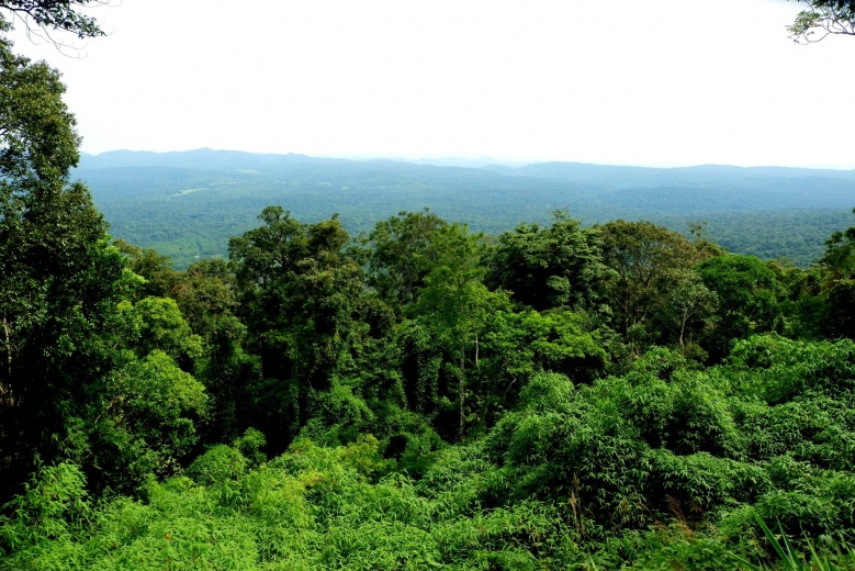 วันหยุดนี้เที่ยวไหนดี ..แนะ5 ที่เที่ยวใกล้กรุงเทพฯ สุดชิลล์ ไม่ต้องวางแผนก็ไปเที่ยวได้