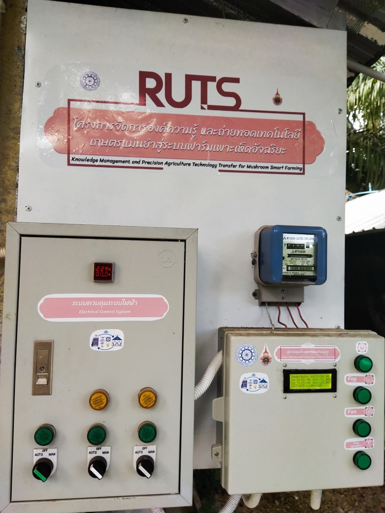 "สมาร์ทฟาร์มเห็ด" อัจฉริยะ ฝีมือคนไทย