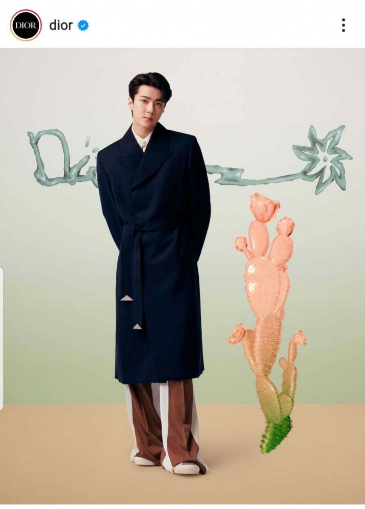 ไอดอลเอเชีย ร่วมชมแฟชั่นโชว์ของดิออร์ ที่ฟร้อนท์โรว์เสมือนจริง