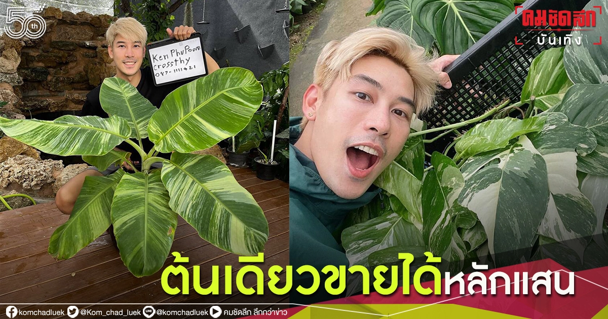 "เคน ภูภูมิ" เปิดประมูลต้นกล้วยด่าง ชั่วโมงเดียวปิดราคาที่ 1.2 แสน "เคน ภูภูมิ" เปิดประมูลต้นกล้วยด่าง ชั่วโมงเดียวปิดราคาที่ 1.2 แสน
