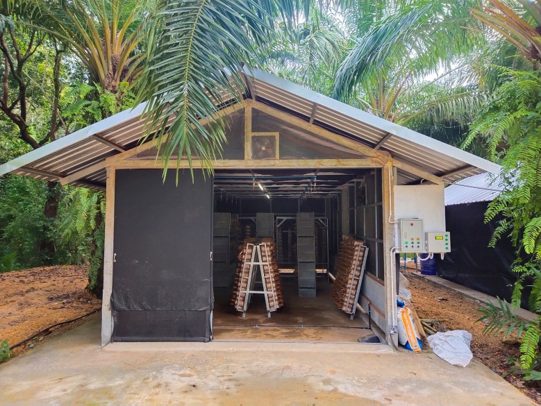 "สมาร์ทฟาร์มเห็ด" อัจฉริยะ ฝีมือคนไทย